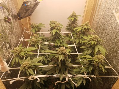 IMG_20221222_200520.jpg IMG_20221222_200520.jpg