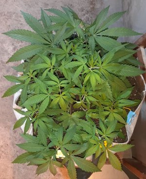 20221223_102033.jpg 20221223_102033.jpg