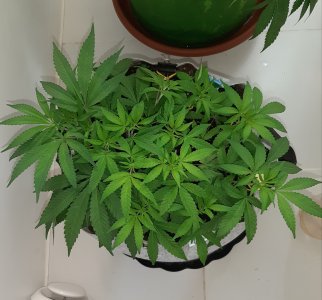 20221223_101957.jpg 20221223_101957.jpg