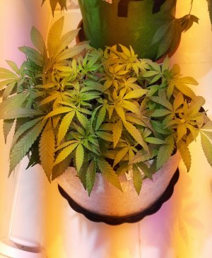 20221223_101901.jpg 20221223_101901.jpg