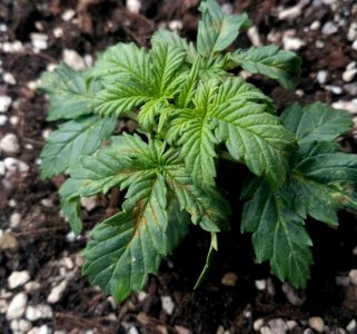 ewrt-3.jpg ewrt-3.jpg