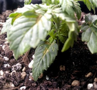 ewrt-4.jpg ewrt-4.jpg