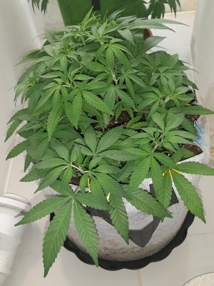 20221223_101806.jpg 20221223_101806.jpg