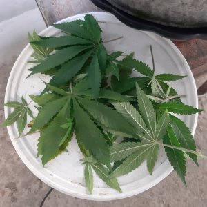 20221223_115632.jpg 20221223_115632.jpg