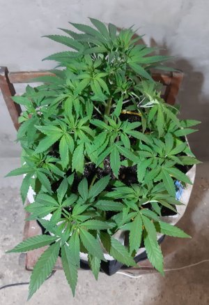 20221223_115558.jpg 20221223_115558.jpg