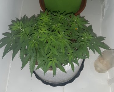 20221223_115322.jpg 20221223_115322.jpg