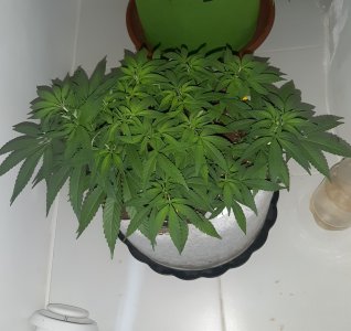 20221223_115244.jpg 20221223_115244.jpg