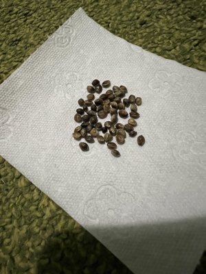 C2EECF71-0532-4E8C-84C0-D90129196A6A.jpeg C2EECF71-0532-4E8C-84C0-D90129196A6A.jpeg