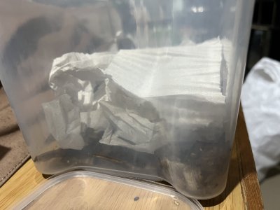 40772A22-23D8-41BA-ADC8-DA2668E00CA6.jpeg 40772A22-23D8-41BA-ADC8-DA2668E00CA6.jpeg