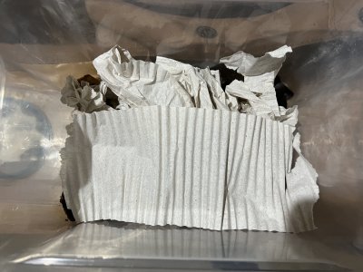 E764757C-AFD2-4EA1-A0EA-68B445CCB1D2.jpeg E764757C-AFD2-4EA1-A0EA-68B445CCB1D2.jpeg