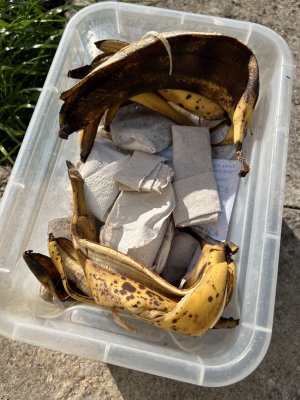 77FF9D2F-0E3B-4D14-BD5F-E0F7FD28550B.jpeg 77FF9D2F-0E3B-4D14-BD5F-E0F7FD28550B.jpeg