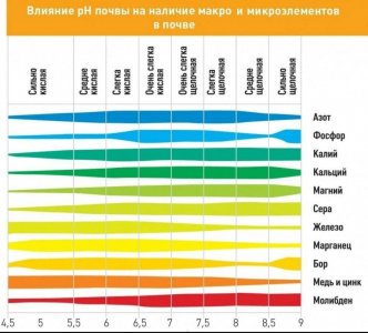 E1D0567C-A881-4B5C-9D15-32D84709B2B9.jpeg E1D0567C-A881-4B5C-9D15-32D84709B2B9.jpeg