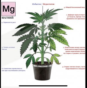 BF427E0B-D13F-4356-B88E-F7AA744D7FA1.jpeg BF427E0B-D13F-4356-B88E-F7AA744D7FA1.jpeg