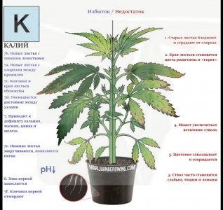 A878D0A5-C3A8-417D-A6C4-C32C650DA7F2.jpeg A878D0A5-C3A8-417D-A6C4-C32C650DA7F2.jpeg