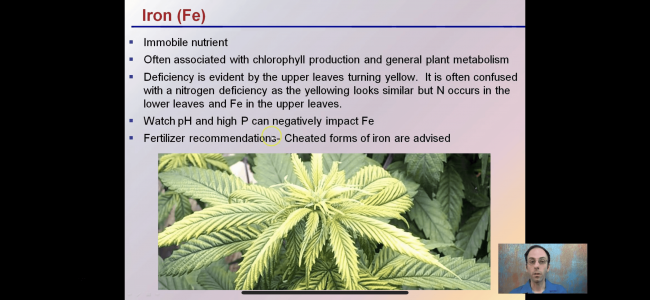 5B2CFD14-E96C-4EA8-B0A7-75E0C65CC79B.png 5B2CFD14-E96C-4EA8-B0A7-75E0C65CC79B.png