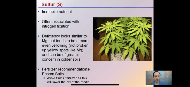 D2F33365-6794-4D84-B1C4-2E6D78CEC954.png D2F33365-6794-4D84-B1C4-2E6D78CEC954.png