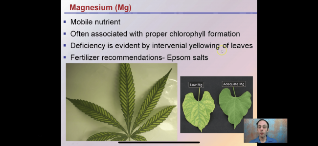 19049320-45CA-4779-B7E3-BB5C2128EF95.png 19049320-45CA-4779-B7E3-BB5C2128EF95.png