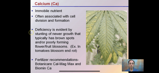 6D06FA33-7ECD-4C75-941B-D1EFFA31D417.png 6D06FA33-7ECD-4C75-941B-D1EFFA31D417.png