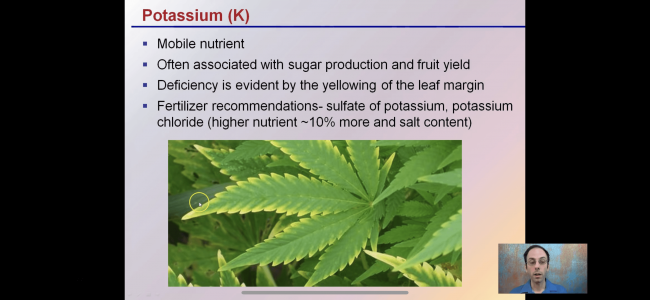 9F464E25-DD88-49AD-BEE9-987CC1EE46D2.png 9F464E25-DD88-49AD-BEE9-987CC1EE46D2.png