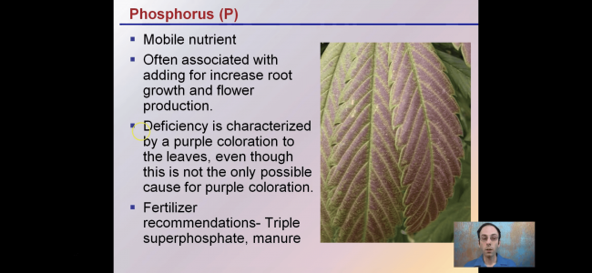 6F6FC3B4-31BF-433E-BAC7-6A99BFC8CE0E.png 6F6FC3B4-31BF-433E-BAC7-6A99BFC8CE0E.png