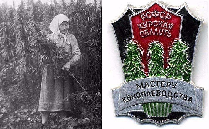 D0C1EB52-1AEA-40E8-8727-EEE78CEDF8E0.jpeg D0C1EB52-1AEA-40E8-8727-EEE78CEDF8E0.jpeg