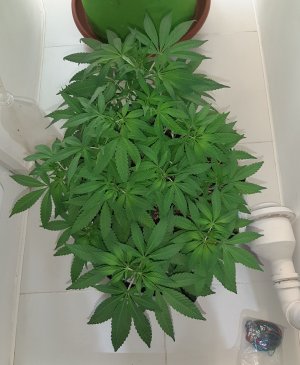 20221224_133535.jpg 20221224_133535.jpg