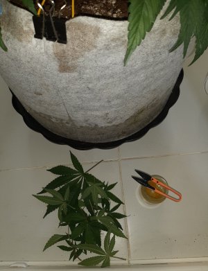 20221224_133500.jpg 20221224_133500.jpg