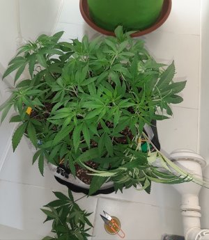 20221224_133431.jpg 20221224_133431.jpg