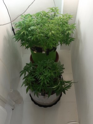 20221224_133316.jpg 20221224_133316.jpg