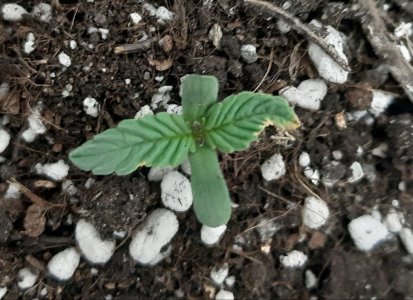 20221225_060809.jpg 20221225_060809.jpg