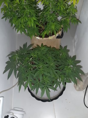 20221225_073552.jpg 20221225_073552.jpg