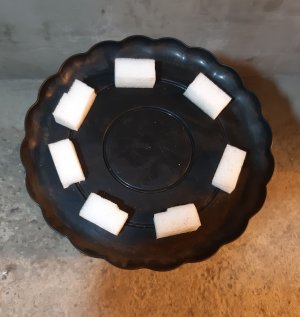 20221225_073511.jpg 20221225_073511.jpg