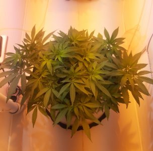 20221225_073449.jpg 20221225_073449.jpg