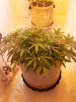 20221225_073430.jpg 20221225_073430.jpg