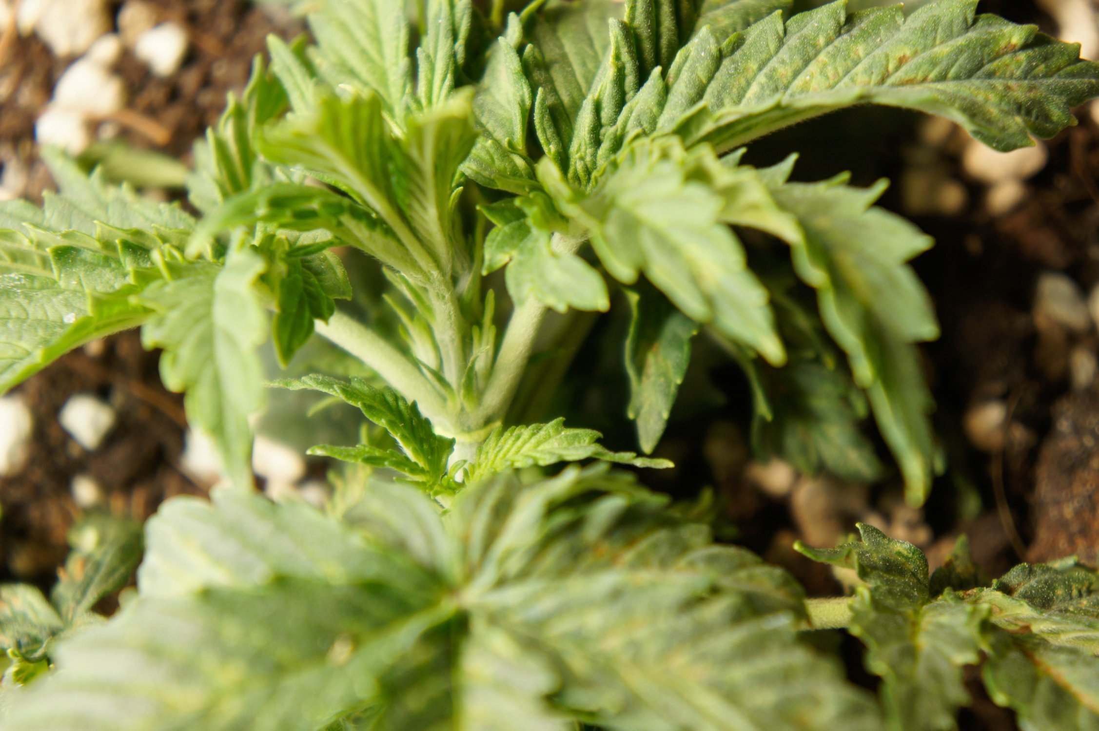 ewrt-4.jpg ewrt-4.jpg