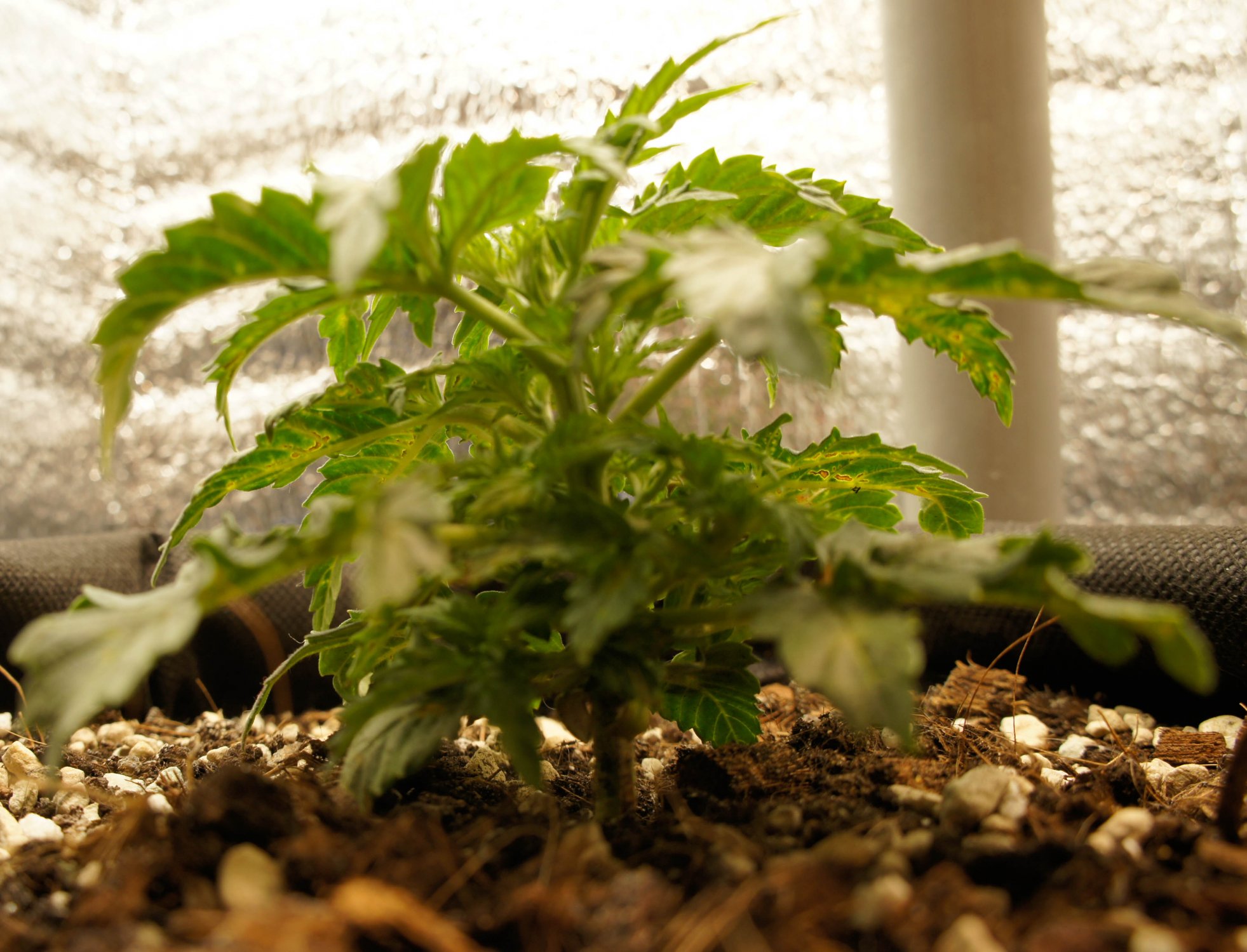 ewrt-2.jpg ewrt-2.jpg