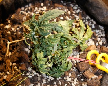 ewrt-3.jpg ewrt-3.jpg