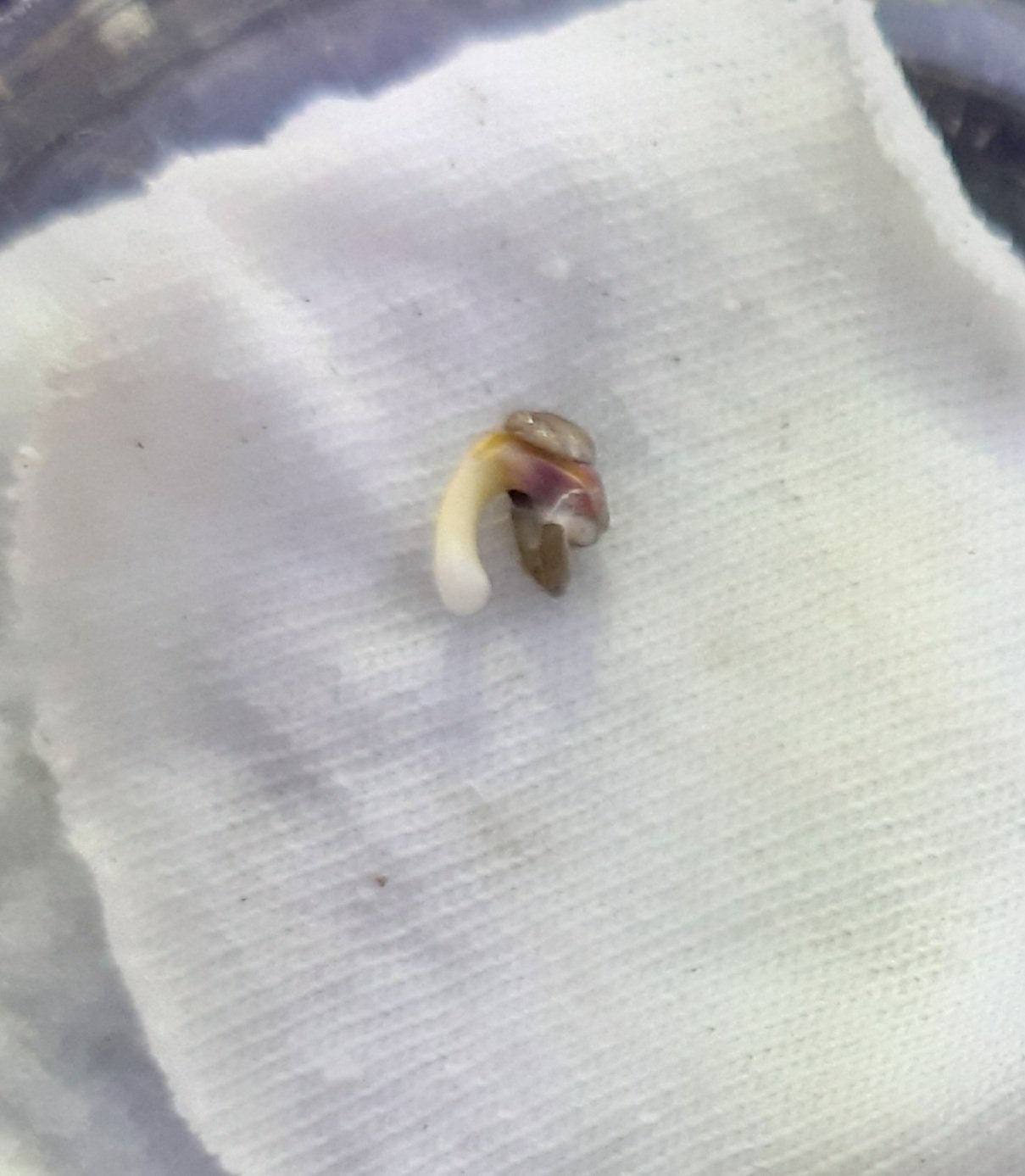 20230104_095620.jpg 20230104_095620.jpg