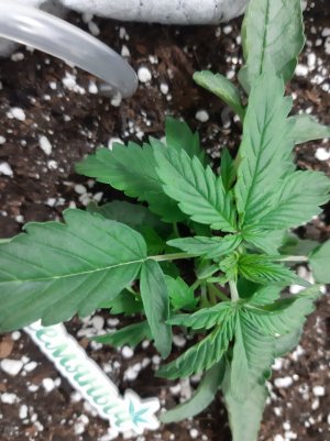 20230104_102630.jpg 20230104_102630.jpg