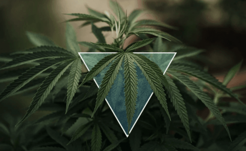 1673008878966.png 1673008878966.png