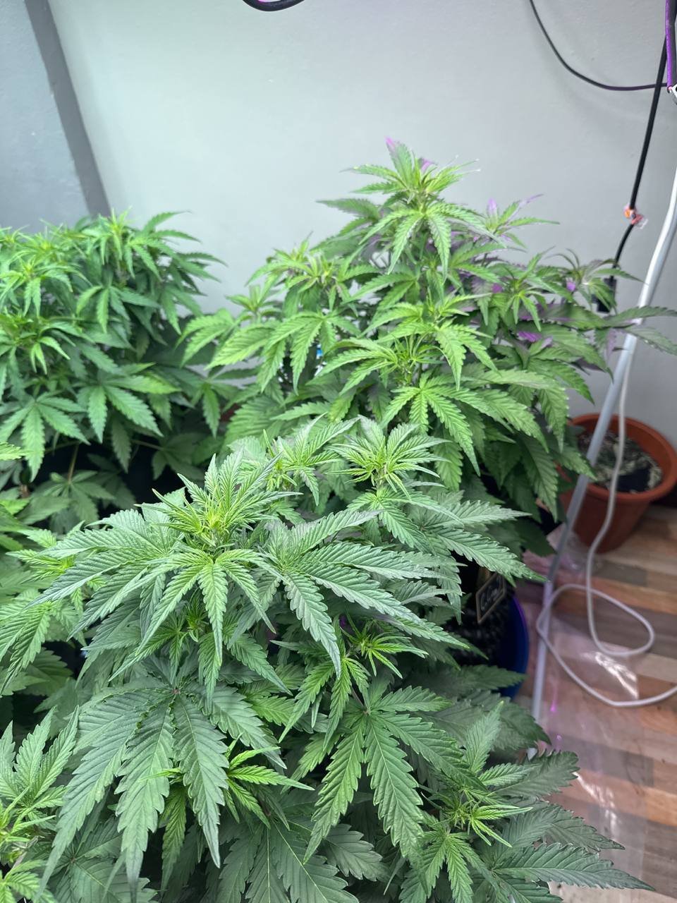 photo_2023-01-08_14-15-02.jpg photo_2023-01-08_14-15-02.jpg