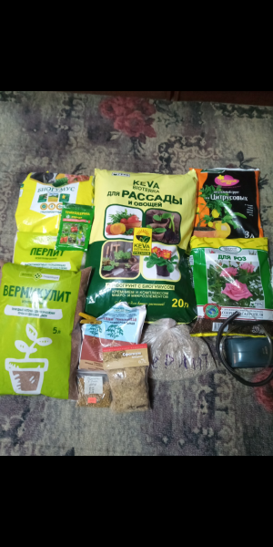 Screenshot_20230111-144519.png Screenshot_20230111-144519.png