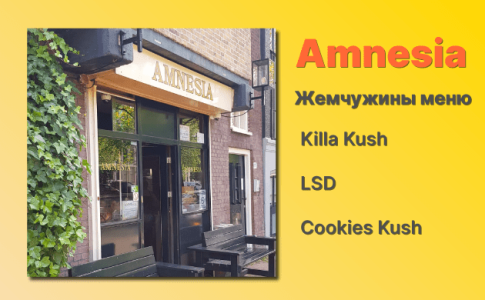 Кофешоп Амстердам Amnesia