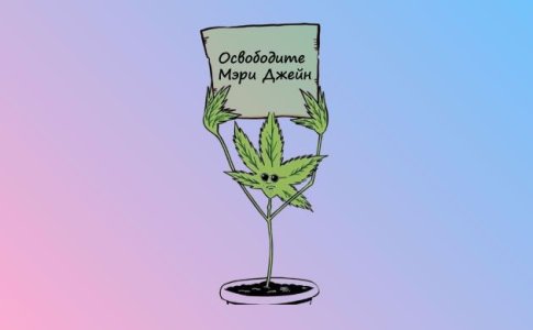 Закаливание молодого растения перед высадкой в аутдор