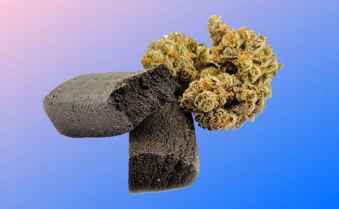 Отличия гашиша от марихуаны Отличия гашиша от марихуаны