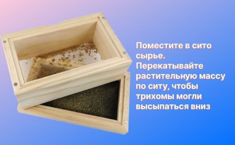 Как сделать гашиш в домашних условиях Как сделать гашиш в домашних условиях