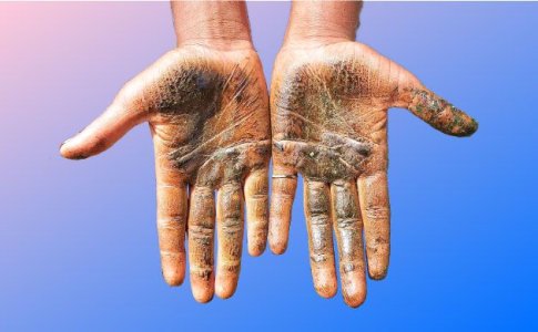 Что такое хеш, гашиш? Что такое хеш, гашиш?