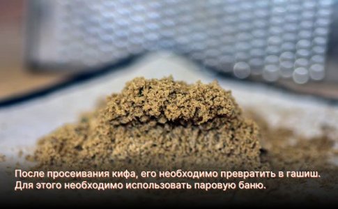 Как сделать гашиш или хеш из кифа Как сделать гашиш или хеш из кифа