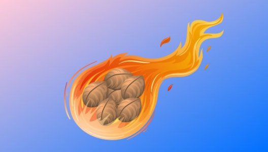 Хранение семян конопли Хранение семян конопли