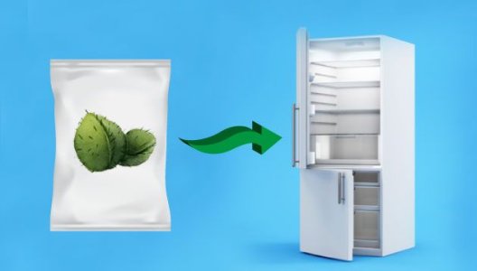 Температура для хранения семян конопли Температура для хранения семян конопли